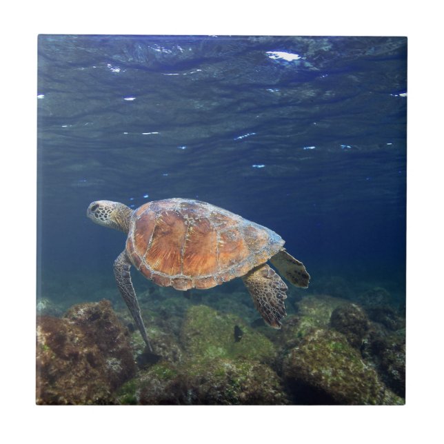 Green sea turtle underwater paradise island ceramic tile (Front)