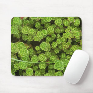 Green Sedum Mousepad 2