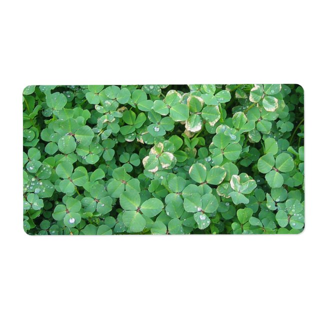 Green Shamrocks Blank Labels (Front)