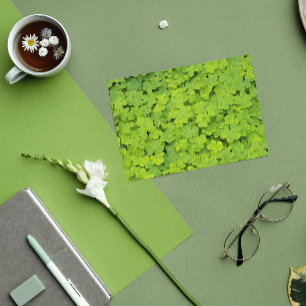 Green Shamrocks Photo St Patrick's Day Card