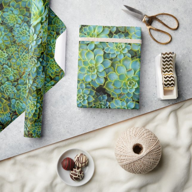 Green Shiny Healthy Succulents Echeveria Plants  Wrapping Paper (Crafts)