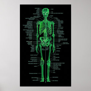 green skeleton poster
