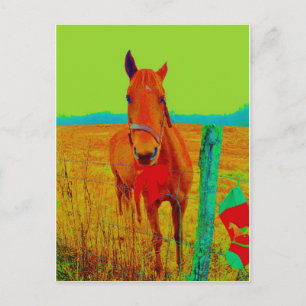 Green sky , red bow Horse : add name Postcard
