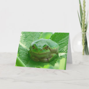 Green smiling Frog - close up Card