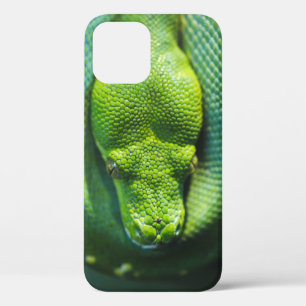 GREEN SNAKE iPhone 12 CASE