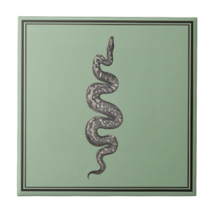 Green Snake Ceramic Tile