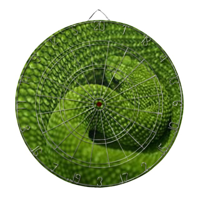 GREEN SNAKE DARTBOARD (Front)