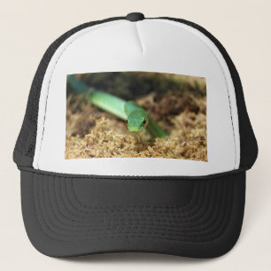 Green snake hat