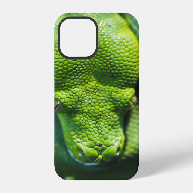 GREEN SNAKE iPhone CASE (Back)