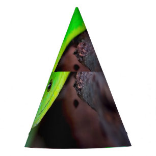 Green Snake Python Party Hat
