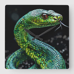 Green snake square wall clock