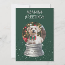 Green Snow Globe Photo Flat Holiday Card