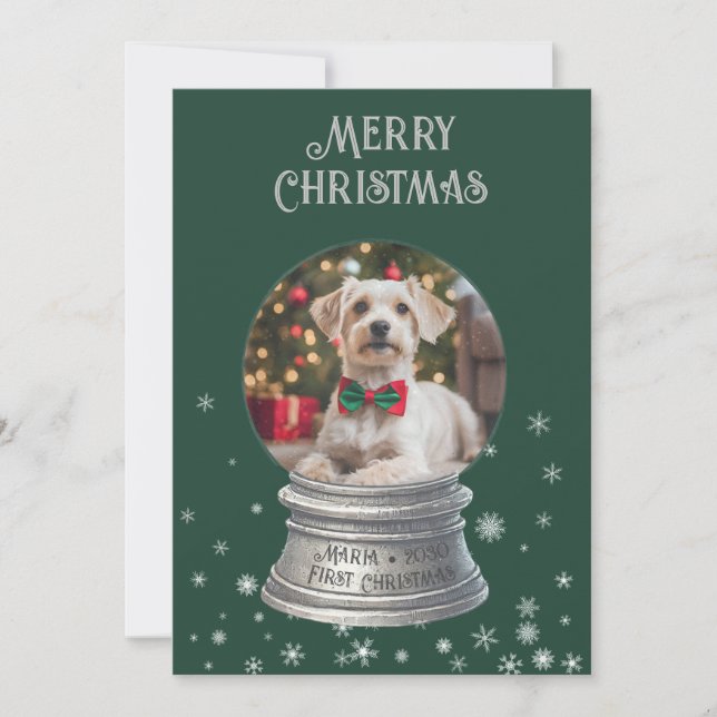 Green Snowglobe Snowflake Photo Flat Holiday Card (Front)
