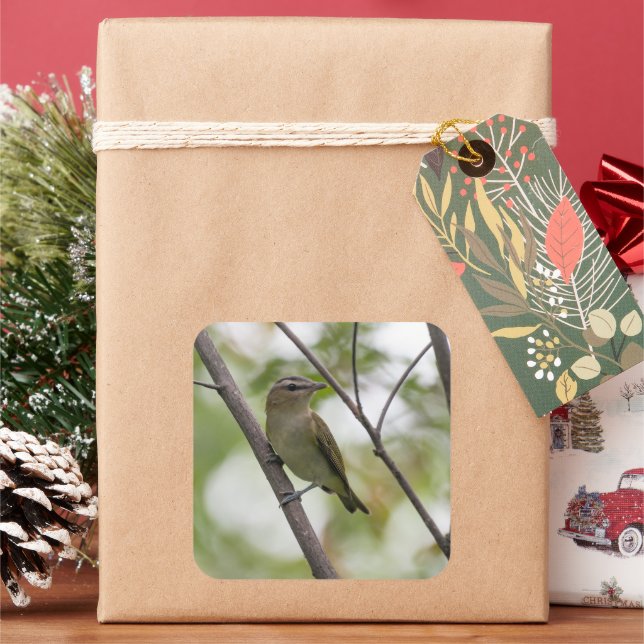 Green Songbird in Canada Square Sticker (Holiday)