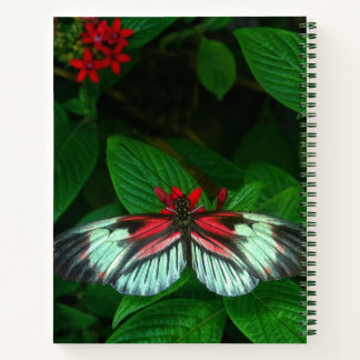 green spiral note notebook