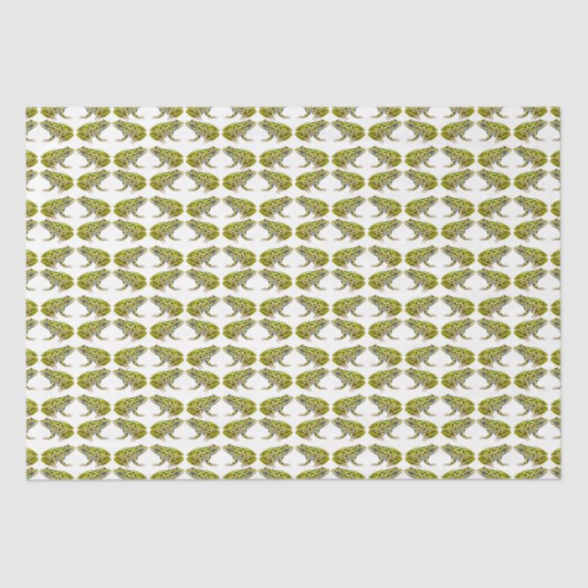 Green Spotted Leopard Frog Tissue Paper (Front)