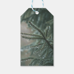 Green spruce tree close-up, Christmas aesthetic Gift Tags