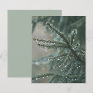 Green spruce tree, winter Scrapbook Paper