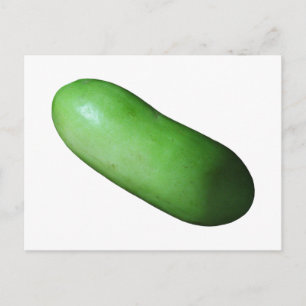 Green Squash (Winter Melon) Postcard