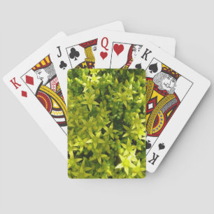 green star like flowers herbal plant playing cards