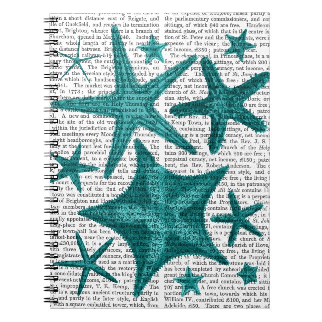 Green Starfish Collection 2 Notebook (Front)