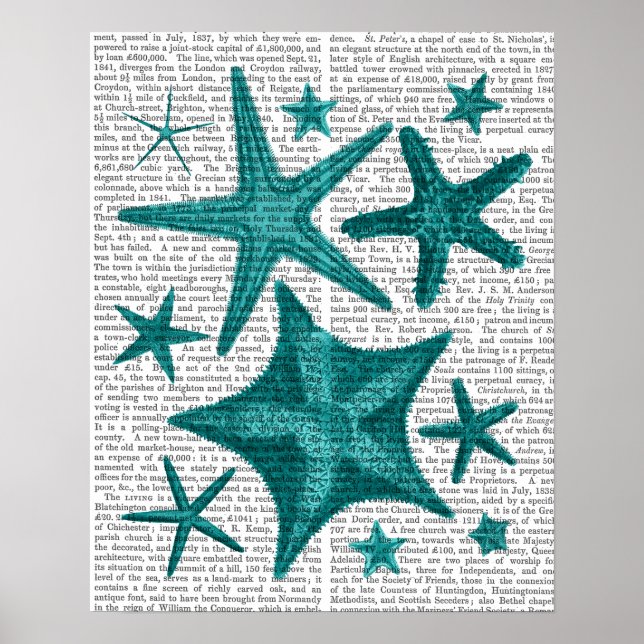Green Starfish Collection Poster (Front)