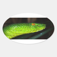 Green Stejneger's pit viper snake