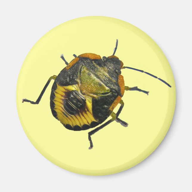 Green Stink Bug Nymph Coordinating Items Magnet (Front)