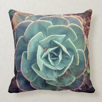 Green Succulent (black rear cover) Cushion