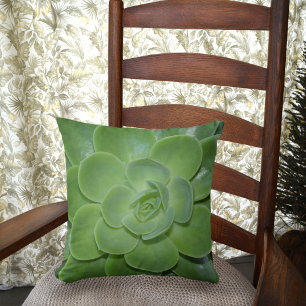 Green Succulent Botanical Photographic Cushion
