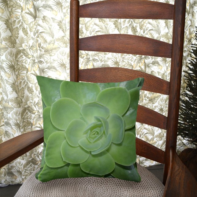 Green Succulent Botanical Photographic  Cushion (Creator Uploaded)