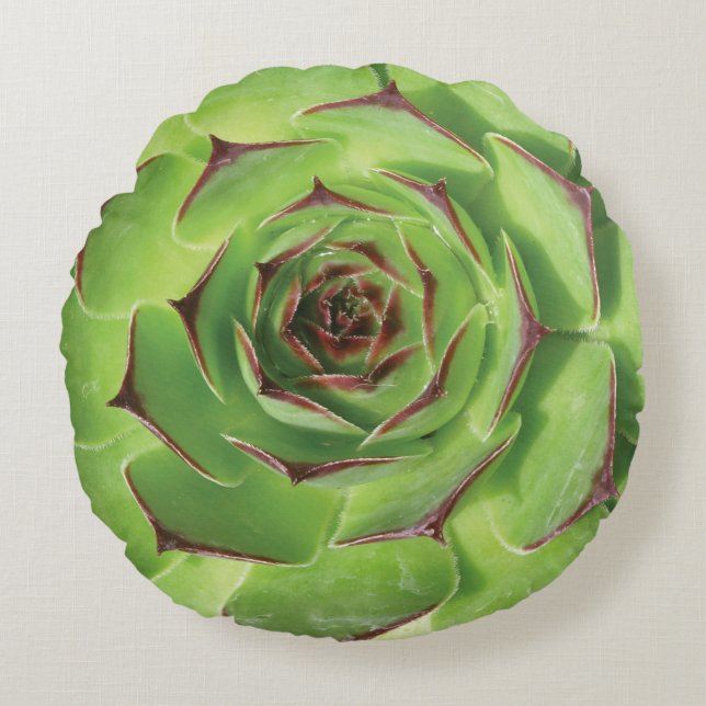 Green Succulent Cactus Spring Flower Round Cushion (Front)