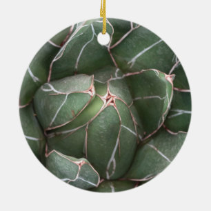 Green Succulent Circle Ornament