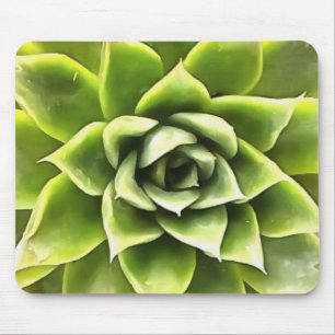 Green Succulent Close Up Cacti Art Mouse Pad