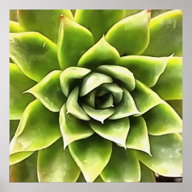 Green Succulent Close Up Cacti Art Poster (Front)
