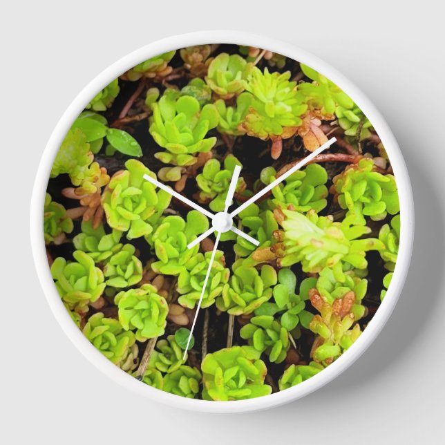 Green Succulent Flowers Clock (Front)