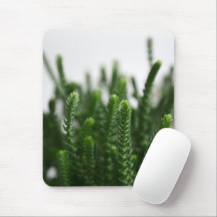 Green Succulent Grass Plant - Zen Spa Nature Photo Mouse Pad
