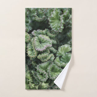 Green Succulent Hand Towel