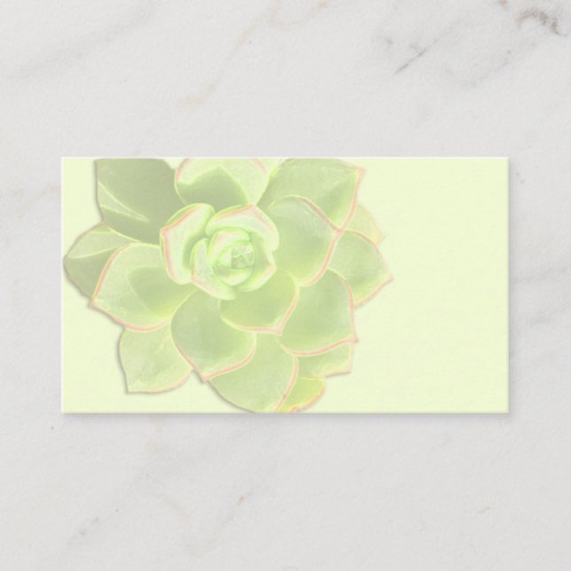 Green Succulent Ivory Place Cards (Front)