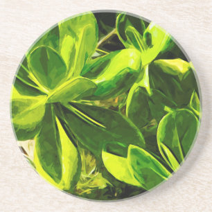 Green Succulent Ocean Beach Plant Abstract Coaster