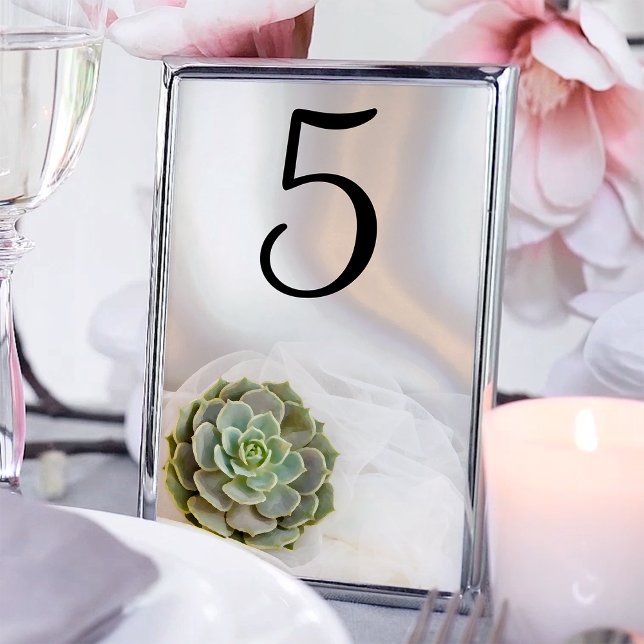 Green Succulent on White Wedding Table Numbers (Creator Uploaded)