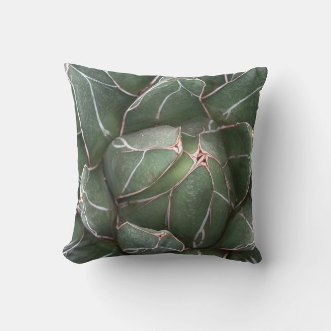 Green Succulent Plant Throw Cushion 41 cm x 41 cm (Front)