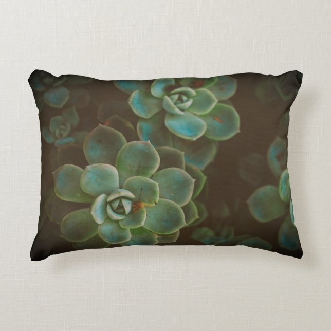 Green Succulent Plants Decorative Cushion (Front)
