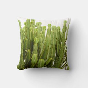 Green Succulent Plants Throw Pillow Cushion