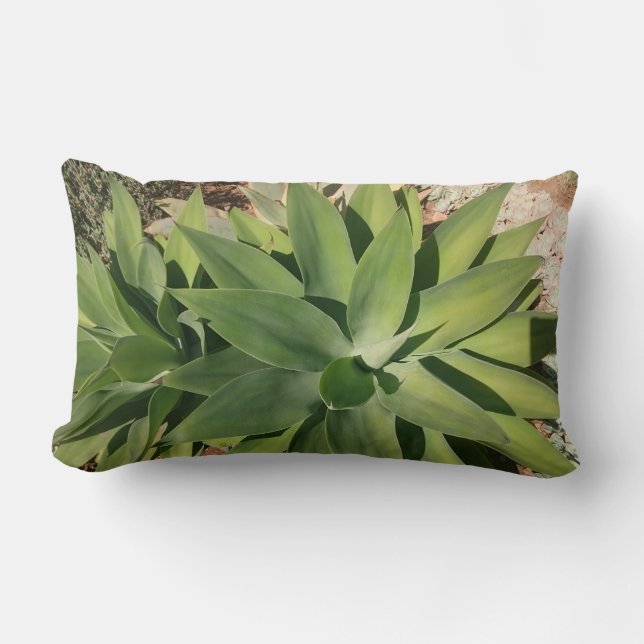 Green Succulent Plants Throw Pillow Cushion (Front)