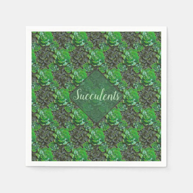Green Succulents Lattice Pattern Paper Napkins (Front)