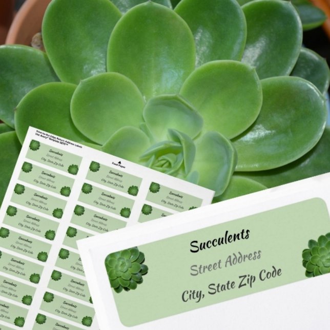 Green Succulents photographic Return Address Label (Creator Uploaded)