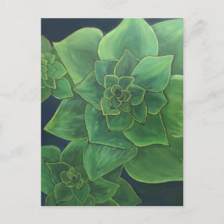 Green succulents postcard
