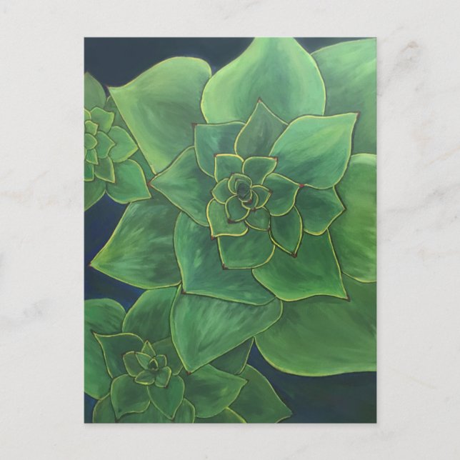 Green succulents postcard (Front)