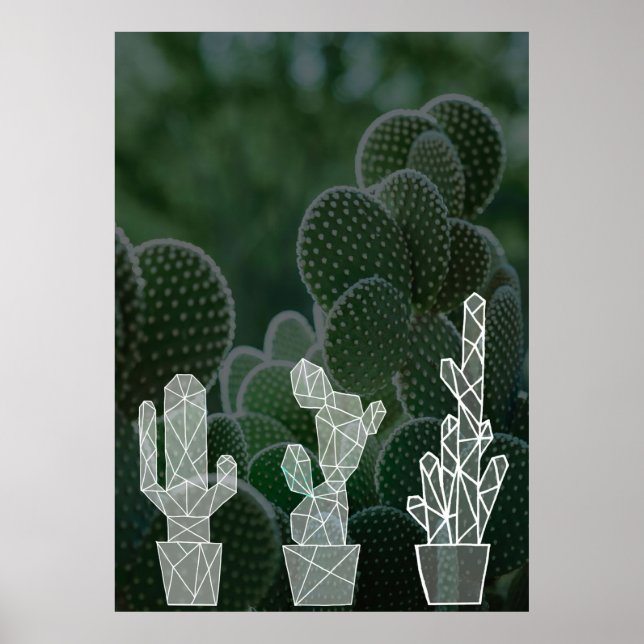 Green Succulents Poster (Front)